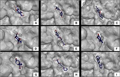 Antioxidant and antidiabetic activity and phytoconstituents of lichen extracts with temperate and polar distribution